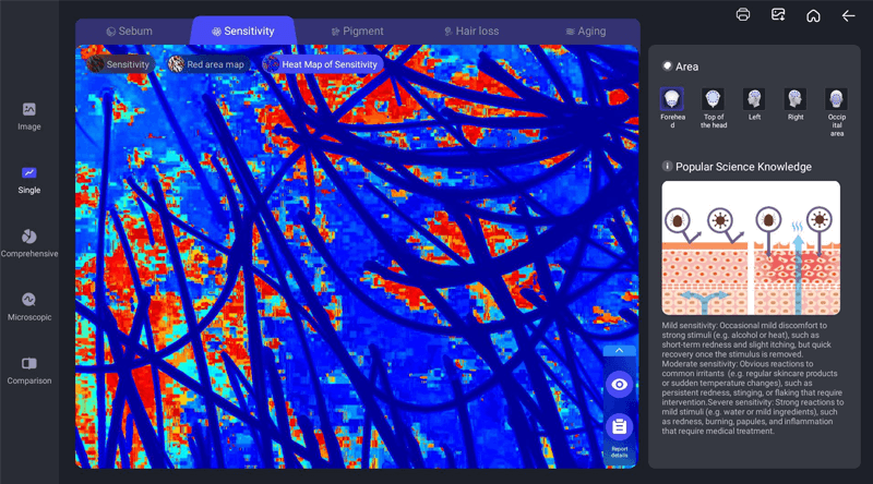 Heat Map of Sensitivity
