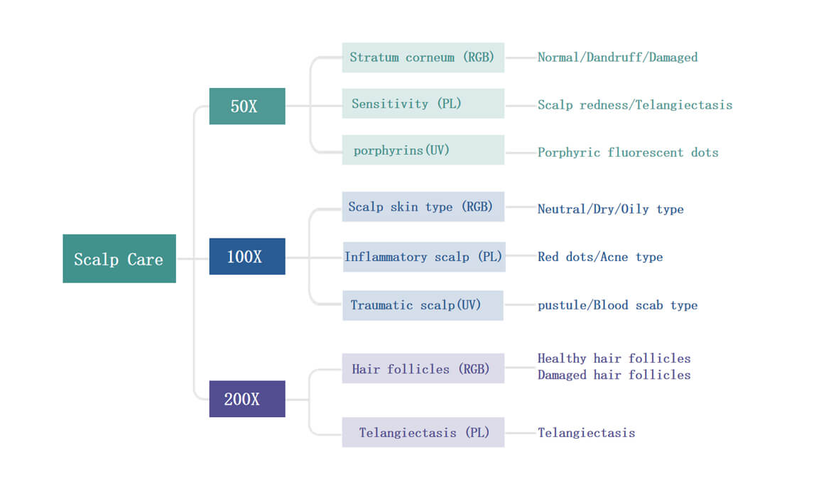 AI hair scalp analyzer